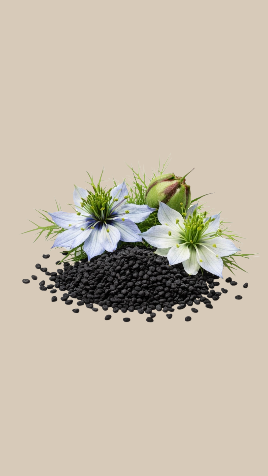 Nigelle