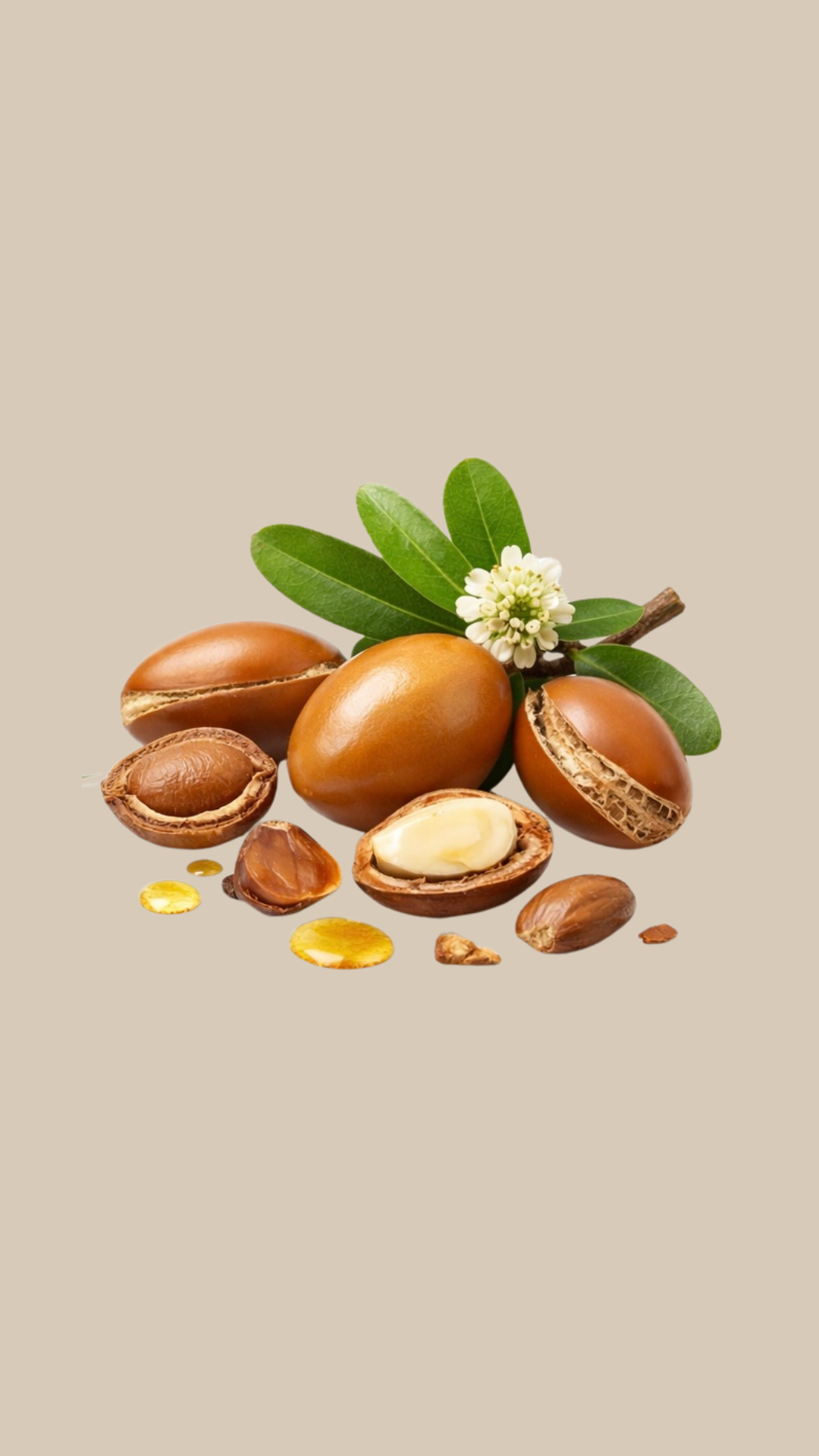 Argan